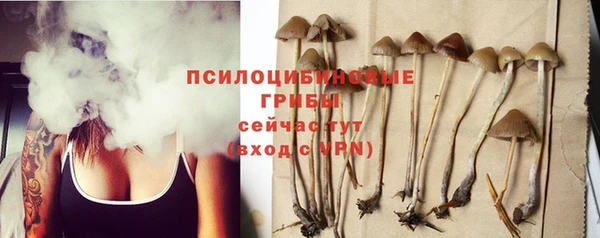 хмурый Инта