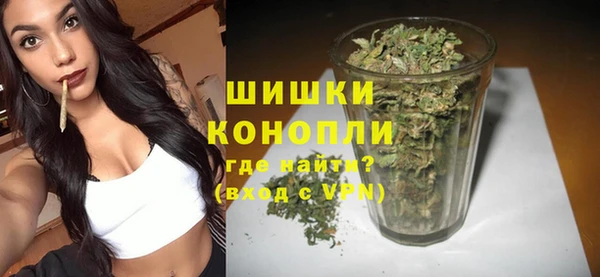 хмурый Инта