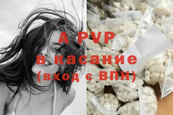 хмурый Инта