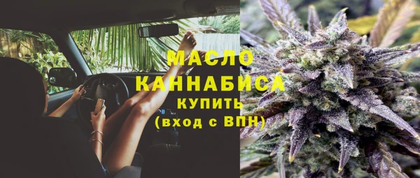 хмурый Инта