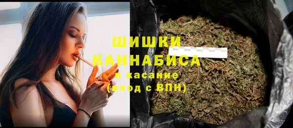 хмурый Инта