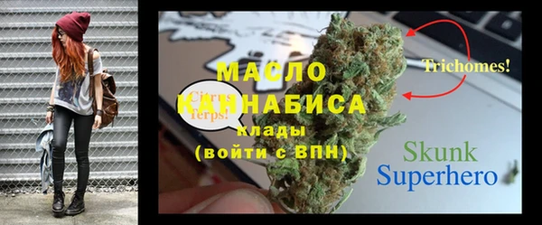 хмурый Инта