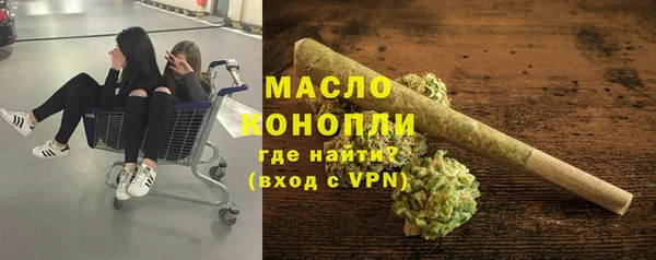 хмурый Инта