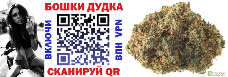Каннабис Amnesia  Купить где  Правдинск 